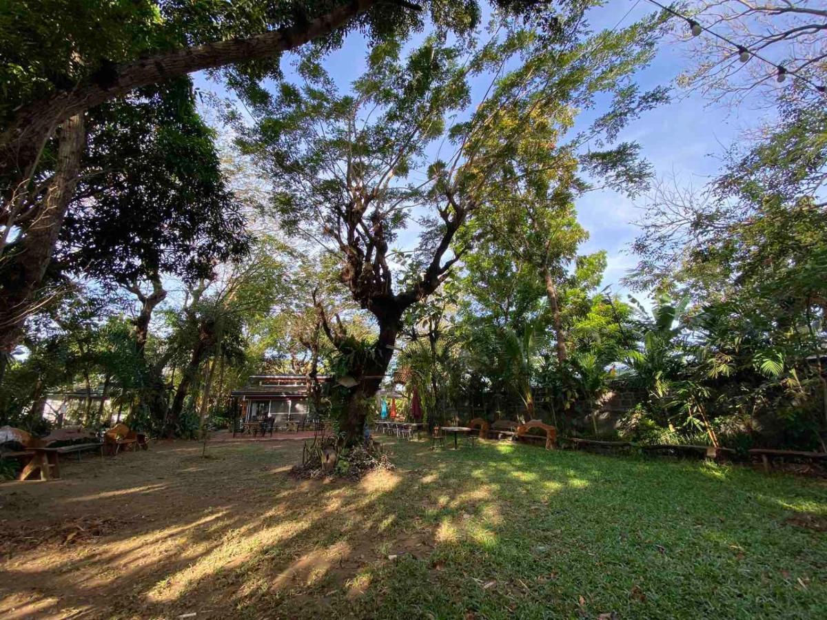 Rio Vista Bed And Breakfast Dagupan City Dış mekan fotoğraf
